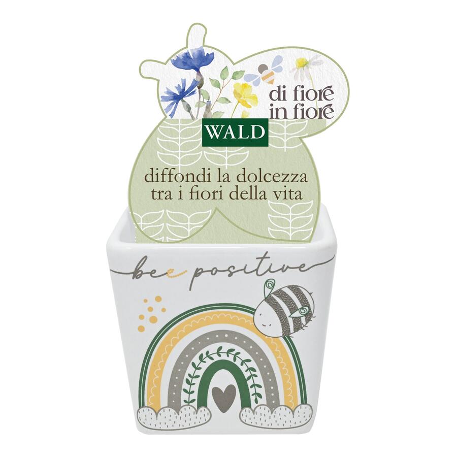 Wald - Cache pot "bee positive" - 2 pz.