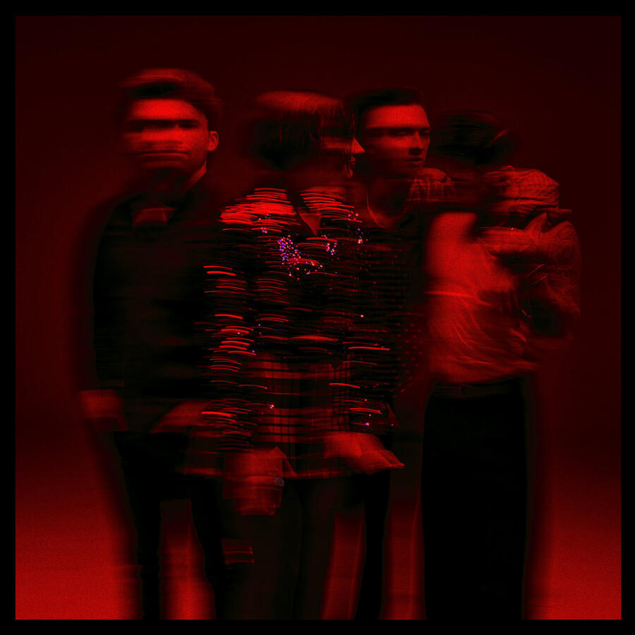 MARMOZETS - CO.WAR.DICE -