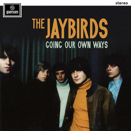 THE JAYBIRDS - GOING OUR OWN WAYS -