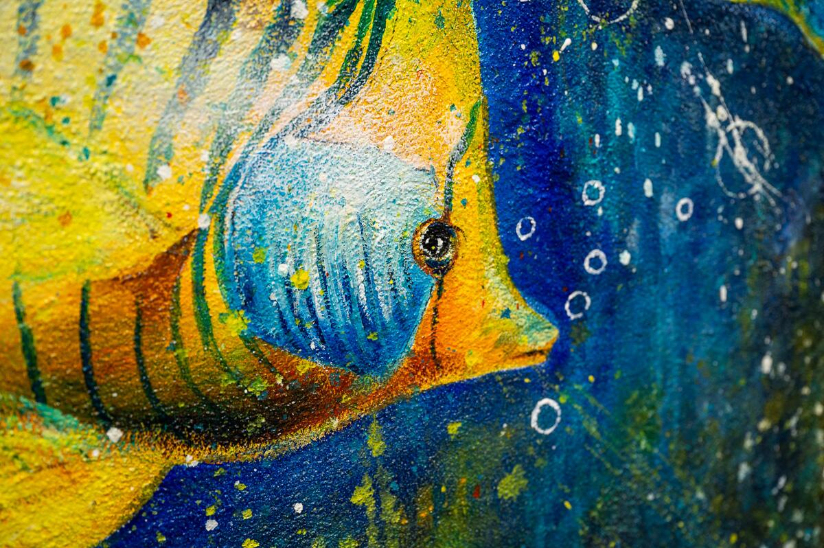 Acquario tropicale cm 140x70