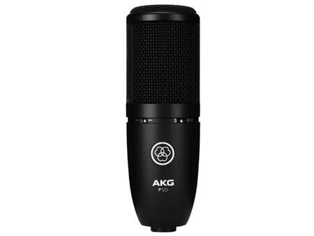 AKG P120