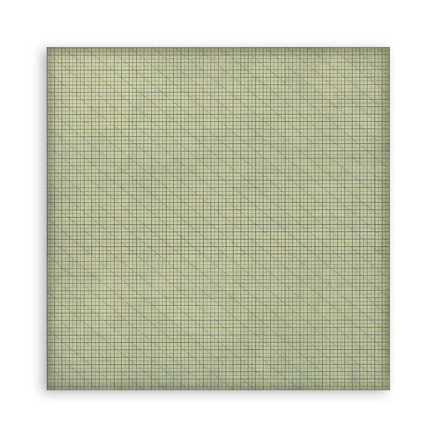 Blocco 10 fogli 30,5 x 30,5 Double Face Backgrounds Daisy Art