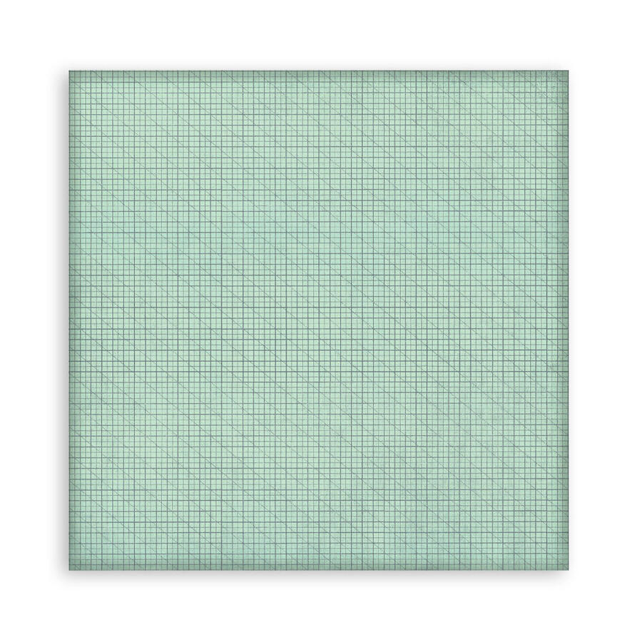 Blocco 10 fogli 30,5 x 30,5 Double Face Backgrounds Daisy Art