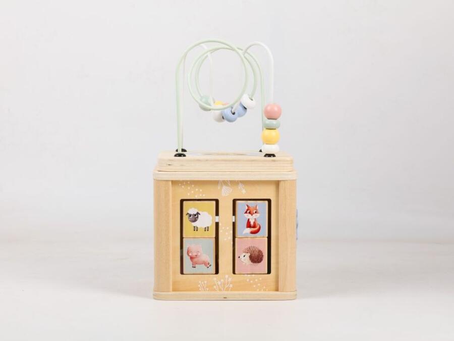 Activity Cube - Animali