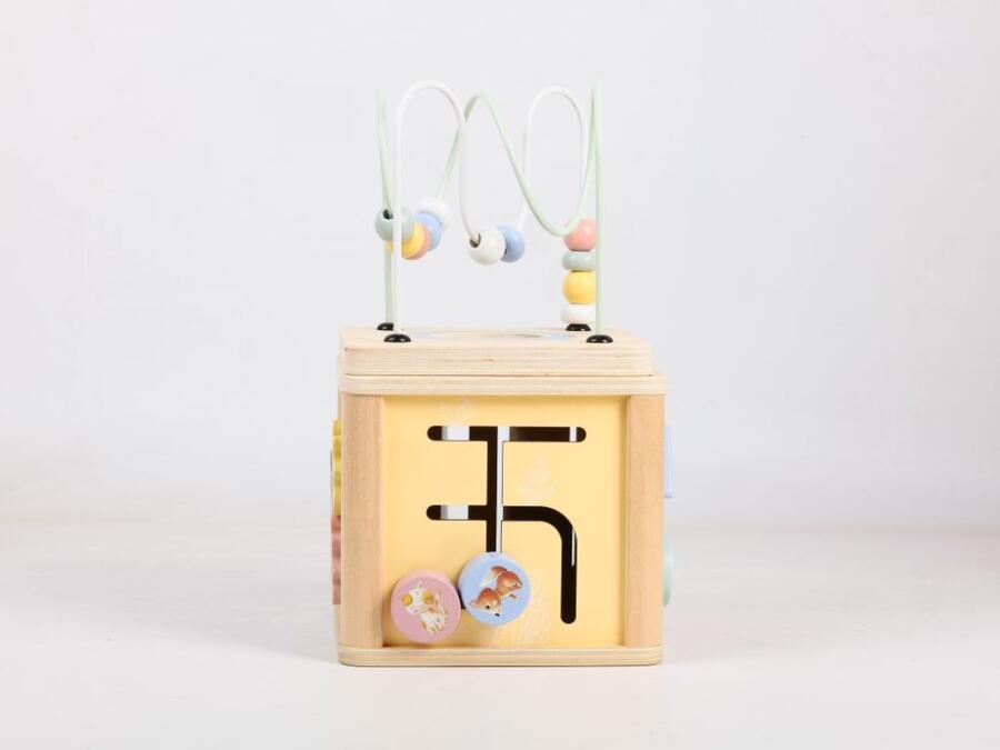 Activity Cube - Animali