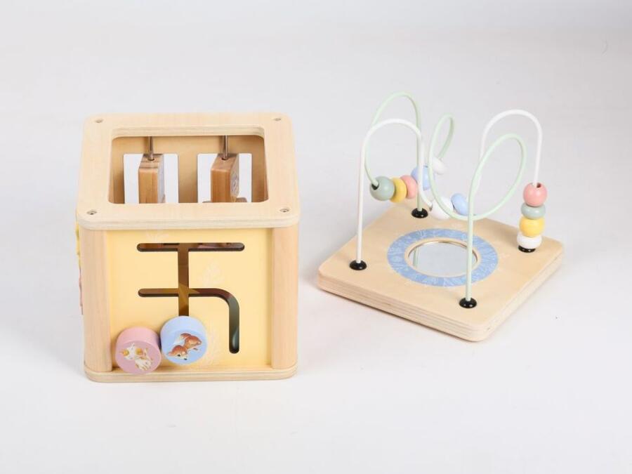 Activity Cube - Animali