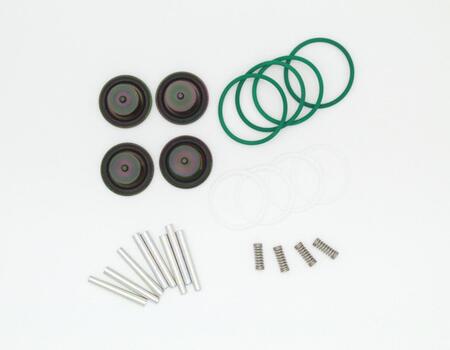 KIT REVISIONE INIETTORI LANDI GIRS12