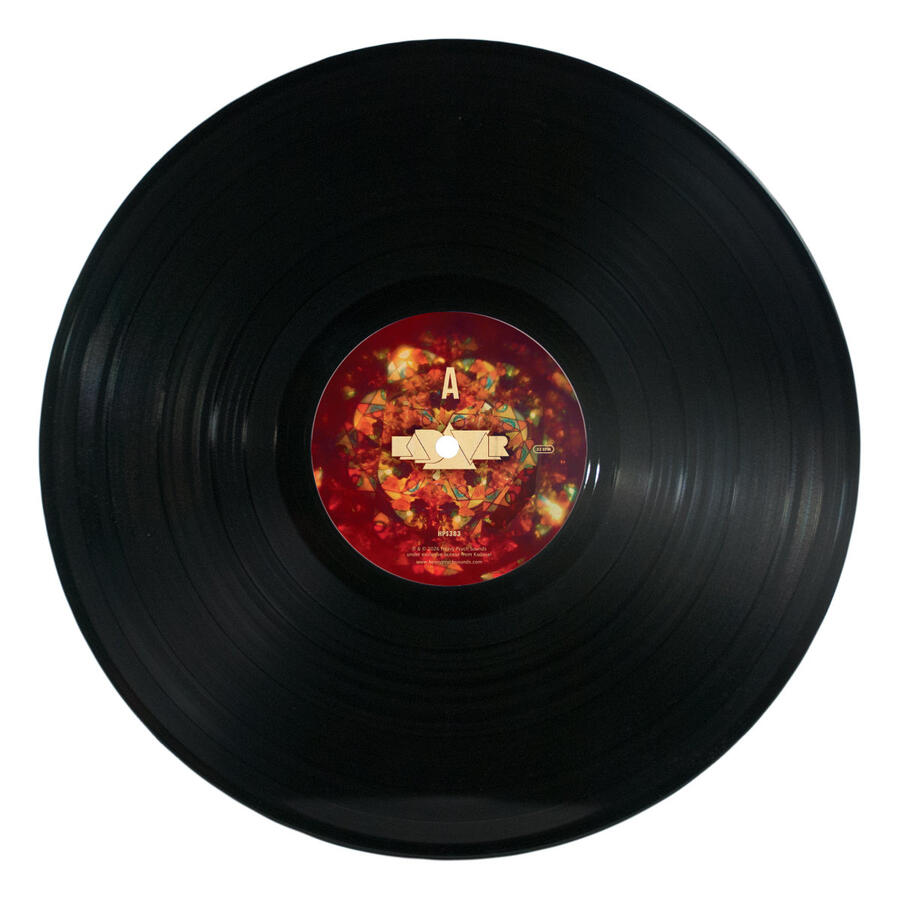 KADAVAR - LIVE IN ANTWERP -