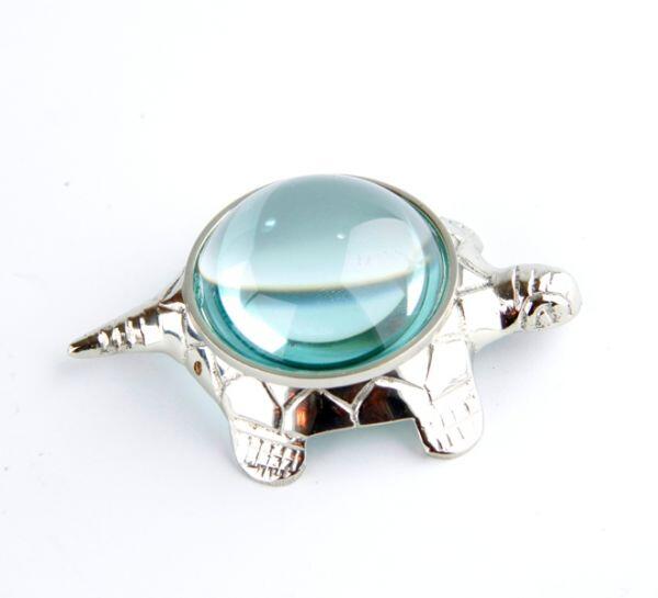 Royal Family - Tartaruga con Lente da Lettura in Sheffield 