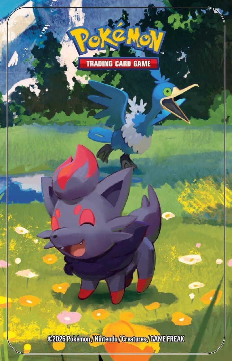 Pokémon: miniscatola da collezione Espansione Megaevoluzione - Ascesa Eroica (Zorua e Cramorant) del GCC Pokémon (1 foglio con adesivi, 1 carta illustrazione della miniscatola e 2 buste espansione)