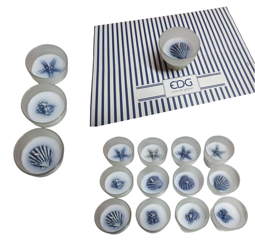 Confezione 12 Candele Profumate Marine EDG – Decorazioni con Conchiglie e Stelle Marine
