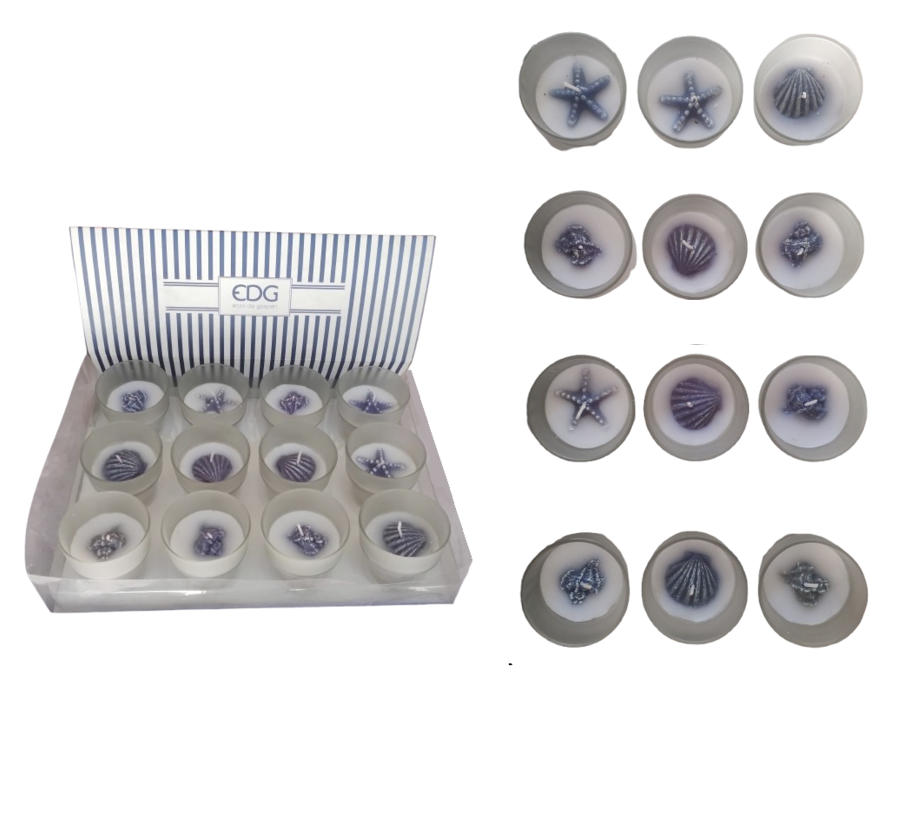 Confezione 12 Candele Profumate Marine EDG – Decorazioni con Conchiglie e Stelle Marine