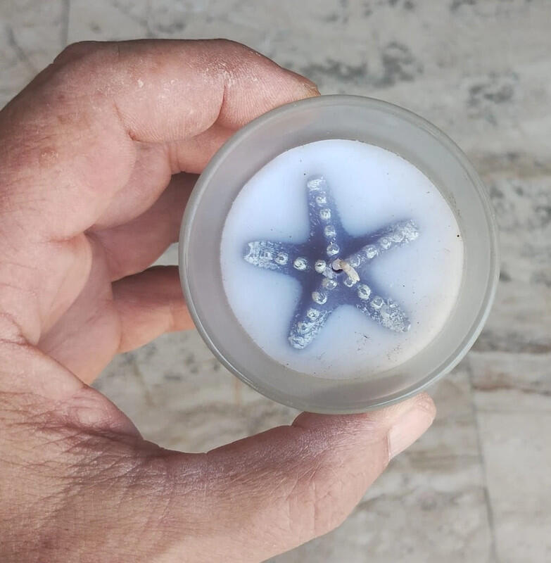 Confezione 12 Candele Profumate Marine EDG – Decorazioni con Conchiglie e Stelle Marine