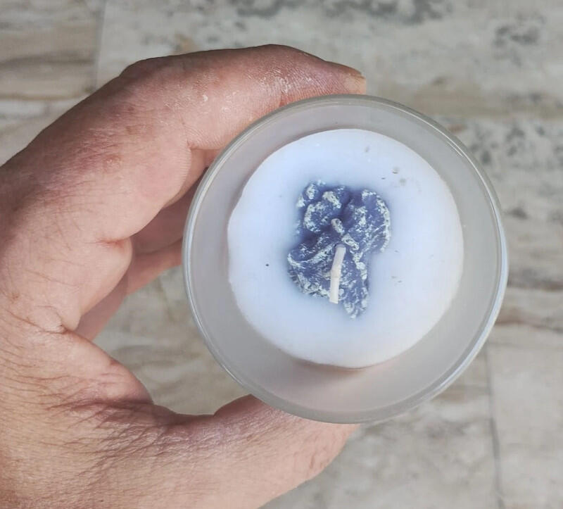 Confezione 12 Candele Profumate Marine EDG – Decorazioni con Conchiglie e Stelle Marine