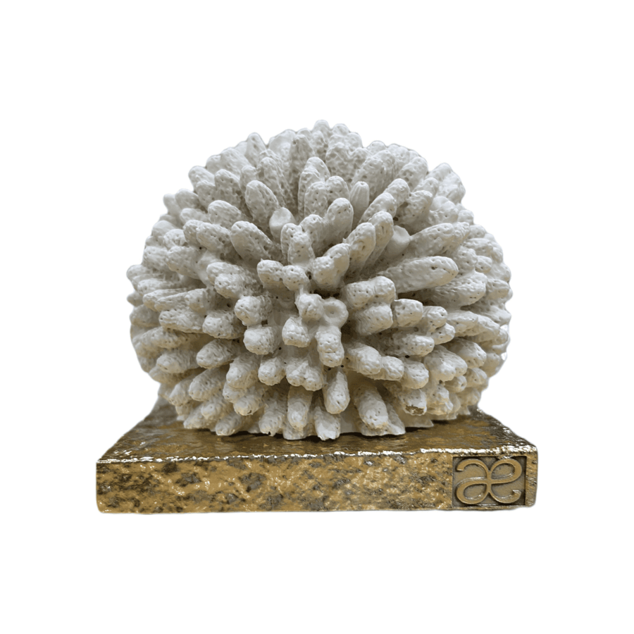 Chiaraela – Corallo Sfera Grande Avorio su Base Oro