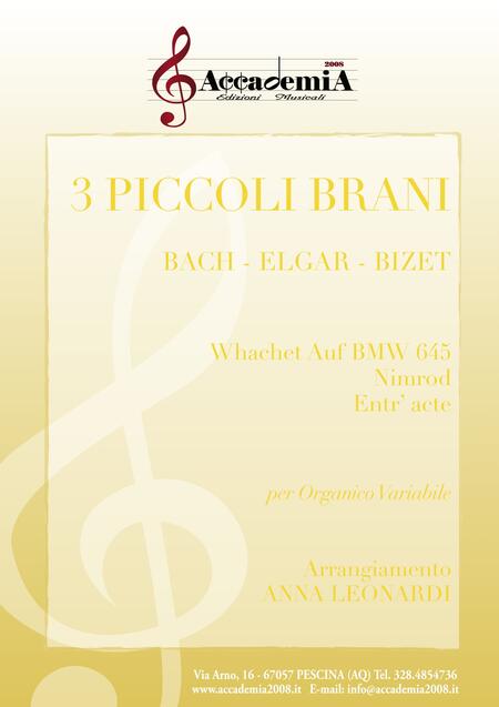 3 PICCOLI BRANI - Anna Leonardi