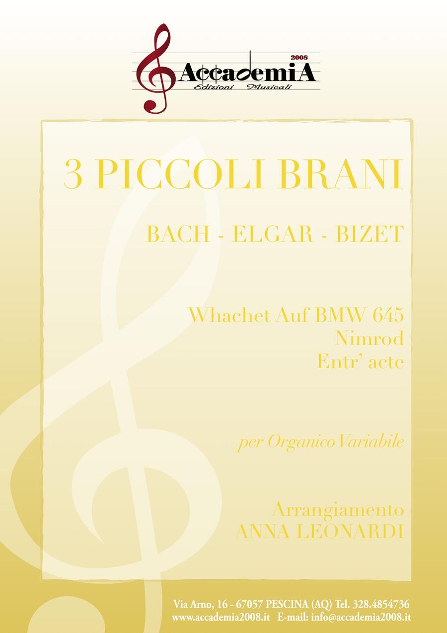 3 PICCOLI BRANI - Anna Leonardi