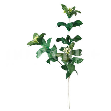 LAURO CON FIORELLINI * 3 H 68 CM VERDE