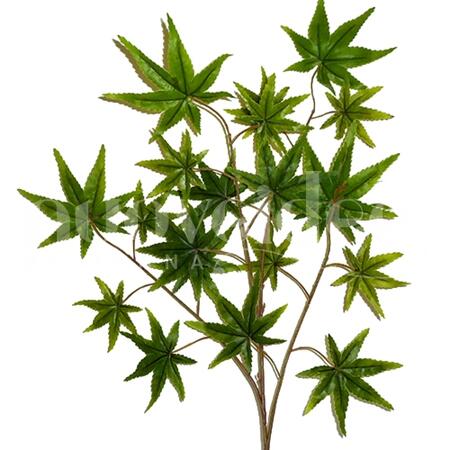 FOGLIA DI ACERO H 50 CM VERDE