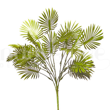 BUSH CHAMAEROPS H 40 CM VERDE