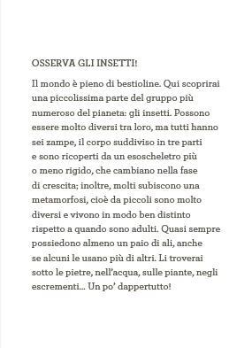 Insetti - Il mondo in tasca