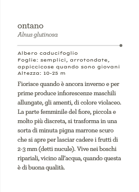 Alberi - Il mondo in tasca