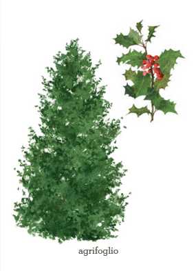 Alberi - Il mondo in tasca