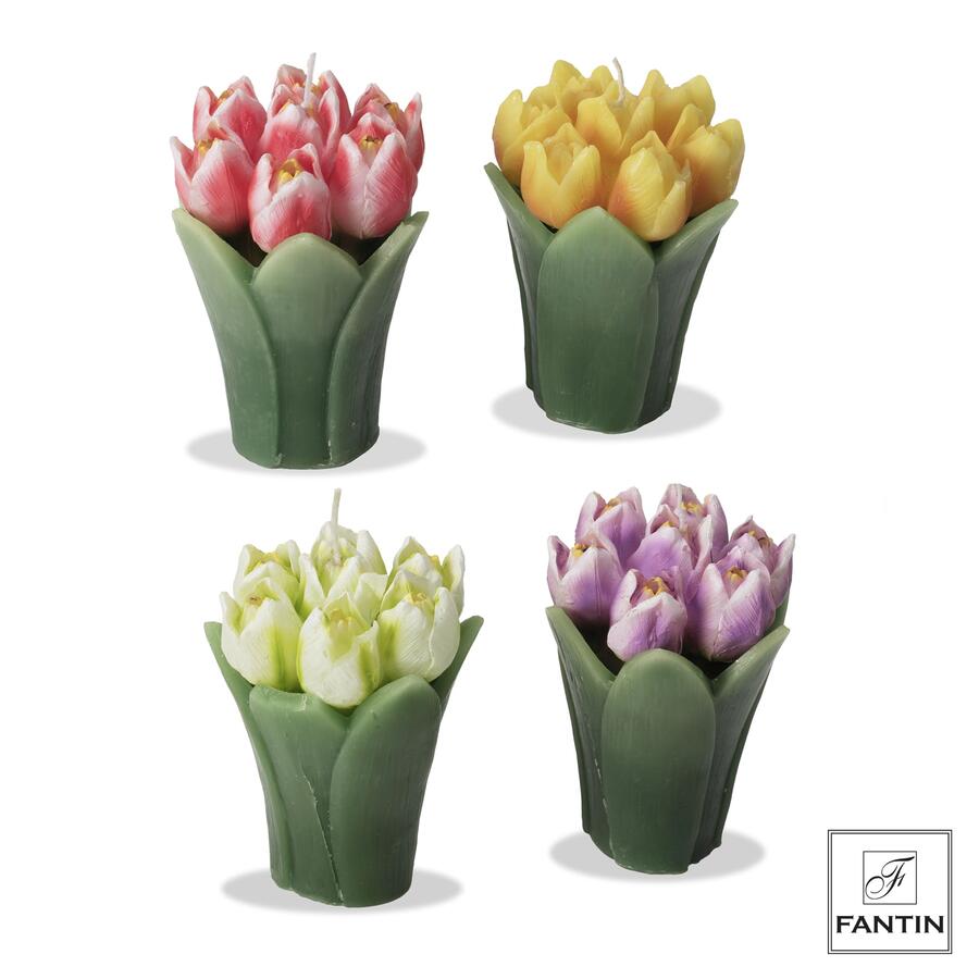 Fantin Argenti – Candele Bouquet Tulipani in Cera | 4 Varianti di Colore