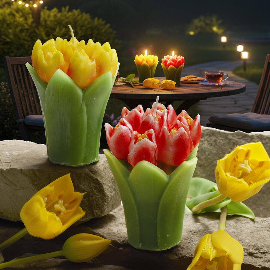 Fantin Argenti – Candele Bouquet Tulipani in Cera | 4 Varianti di Colore