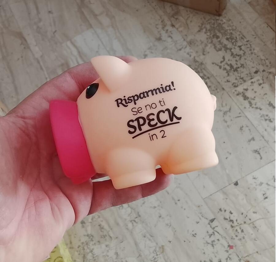 Set 6 Salvadanai Porcellini in PVC – 10 cm