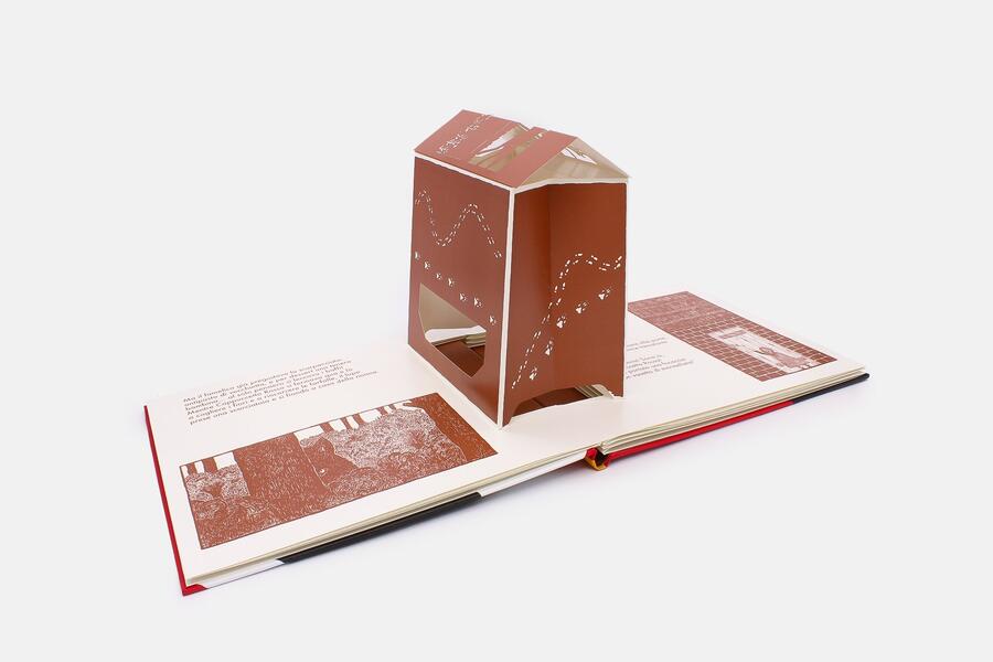 Il piccolo teatro d'ombre. Cappuccetto rosso