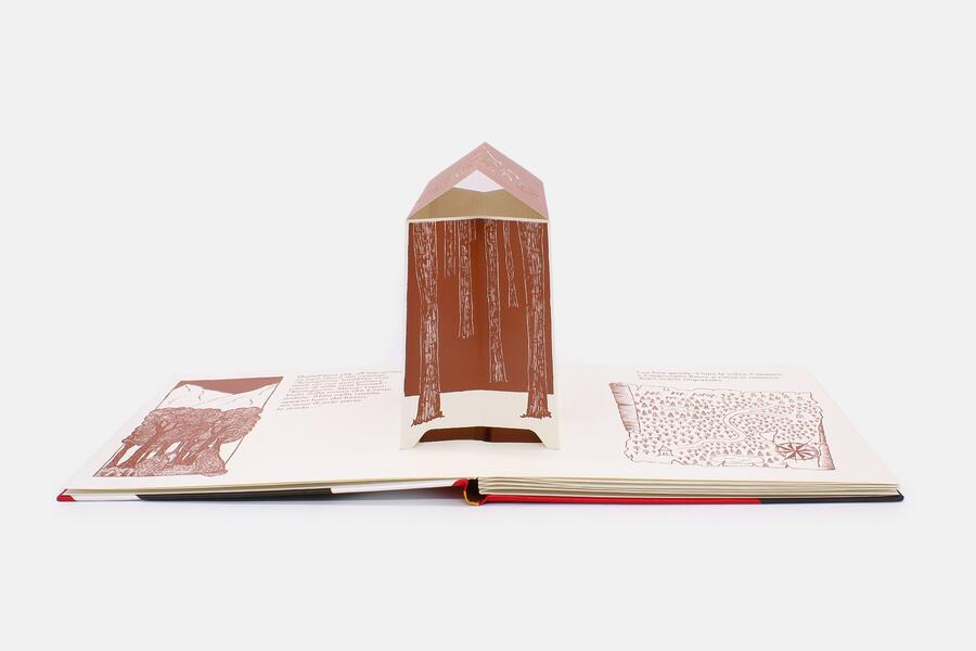 Il piccolo teatro d'ombre. Cappuccetto rosso