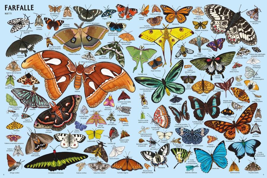 Tanti tantissimi animali