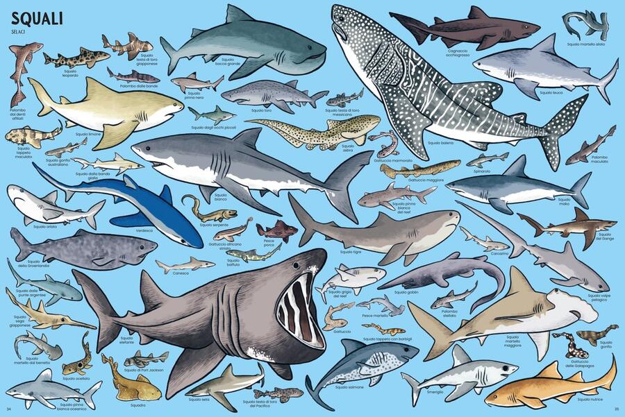 Tanti tantissimi animali