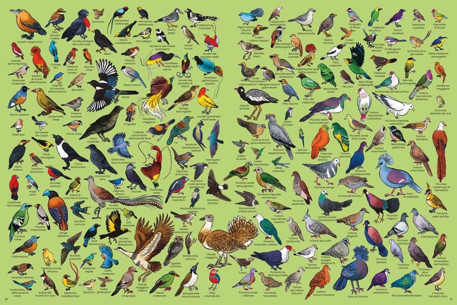 Tanti tantissimi animali