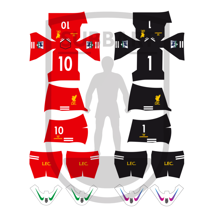 DECALS LIVERPOOL 2013/14