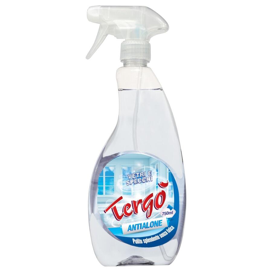 TERGO' SPRAY VETRI COMPLETO 750 ML (Confezione da 12 pezzi) 