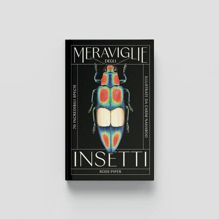 Meraviglie degli insetti