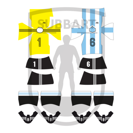 DECALS ARGENTINA WORLD CUP 1974