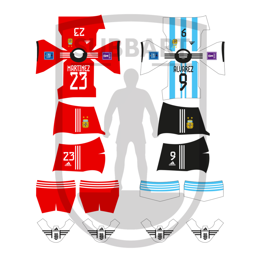 DECALS ARGENTINA 2022 WORLD CUP