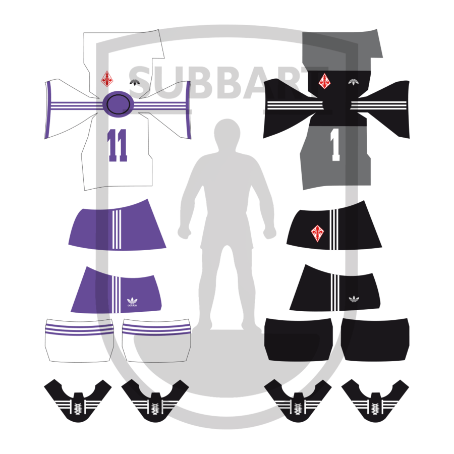 DECALS FIORENTINA 1980/81