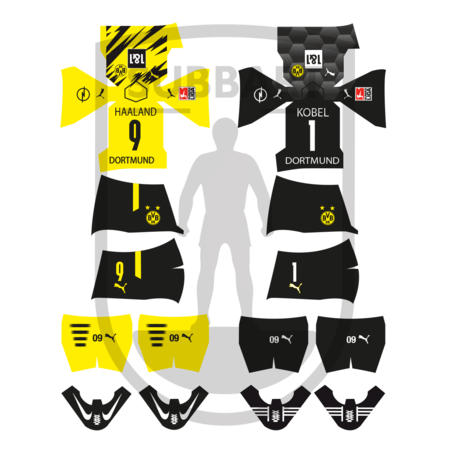 DECALS BORUSSIA DORTMUND 2020-2021