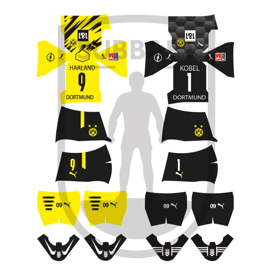 DECALS BORUSSIA DORTMUND 2020-2021