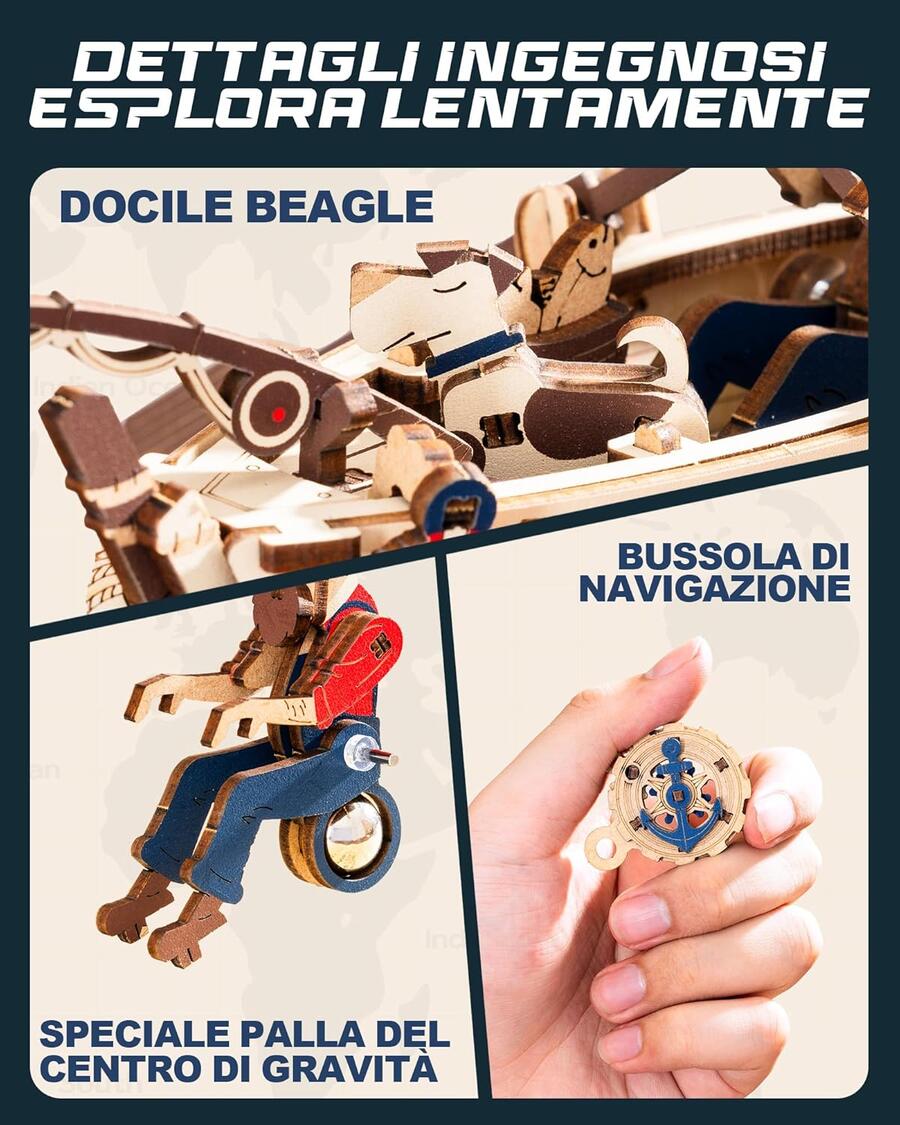 Gravity Swing Ocean Fisher