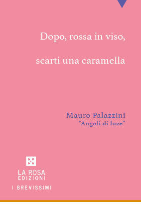 Mauro Palazzini - Angoli di luce