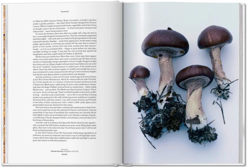 The Gourmand's Mushroom. A Collection of Stories and Recipes