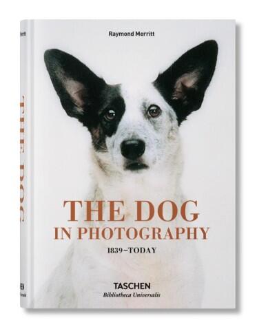 The Dog in Photography 1839–Today