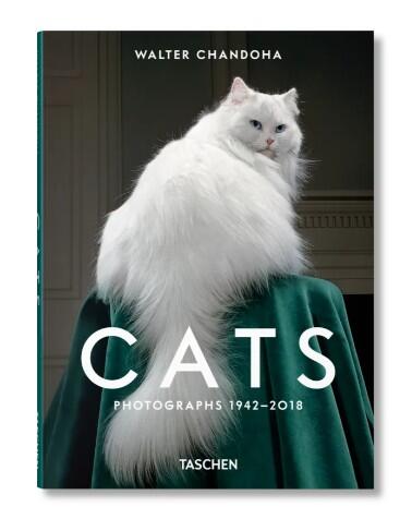 Walter Chandoha. Cats. Photographs 1942–2018