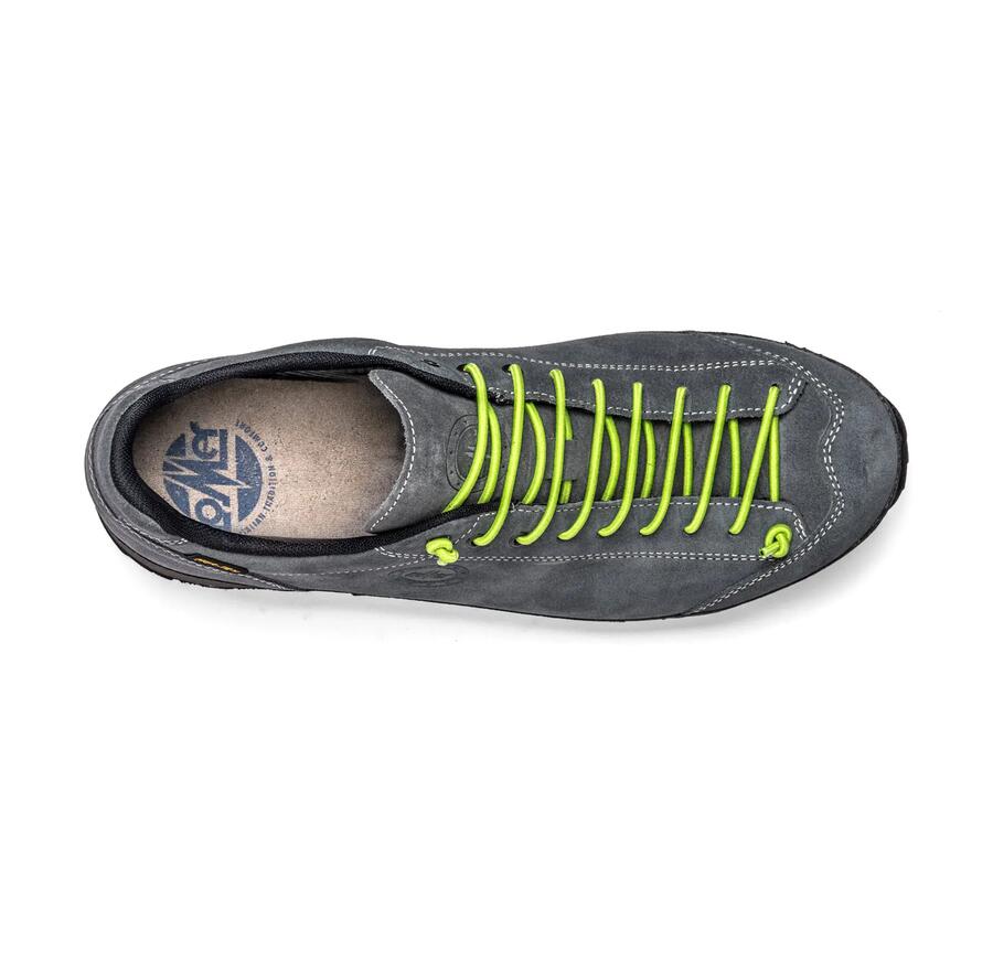 Bio Naturale Low MTX Brain - LOMER®