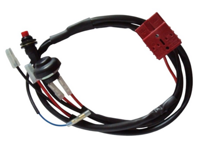 CABLAGGIO PRINCIPALE PER TM MINI KART 60 cc